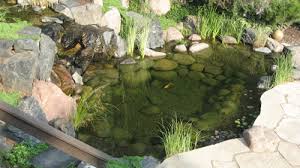 The basics of building a pond and the importance of a quality liner